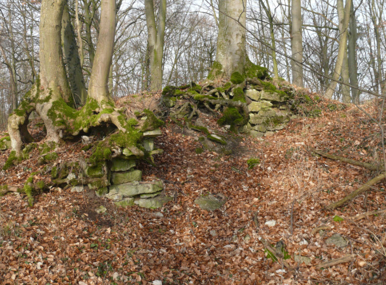 Burgruine Hopfach, Wolpertshausen, Germany, Germany